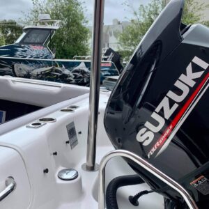 REMOVABLE SKI POLE KIT